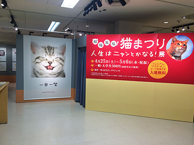 招福笑福 猫まつり 人生はニャンとかなる!展